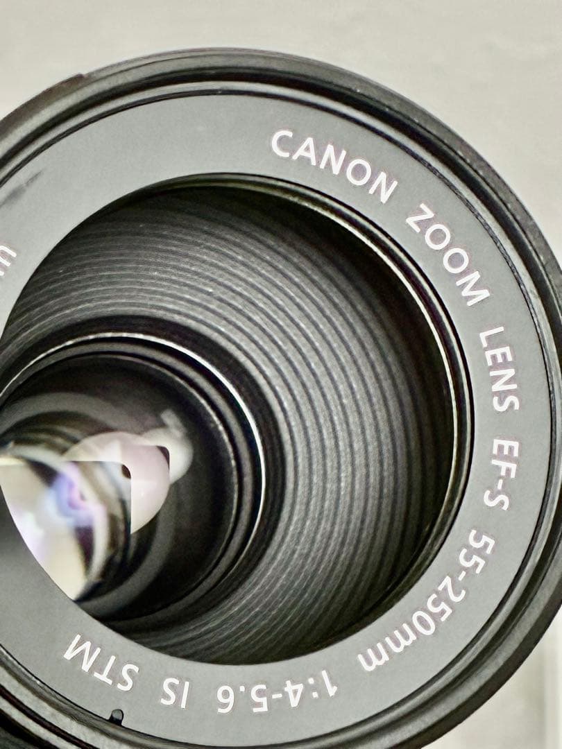⭐️美品⭐️Canon EF-S55-250mm IS STM フード付き望遠レンズ