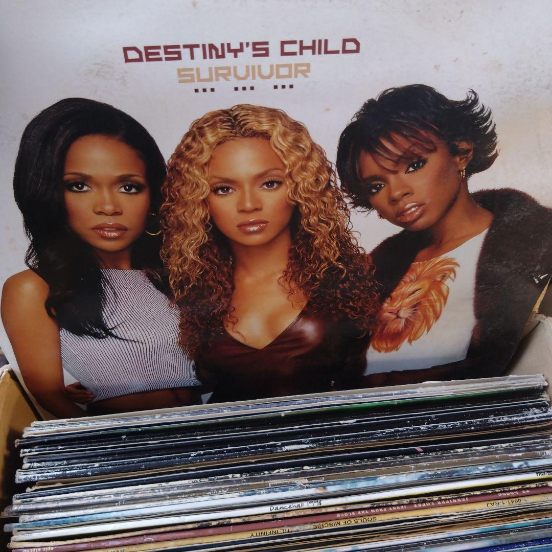 SWV You're the One & Destiny's レコードセット
