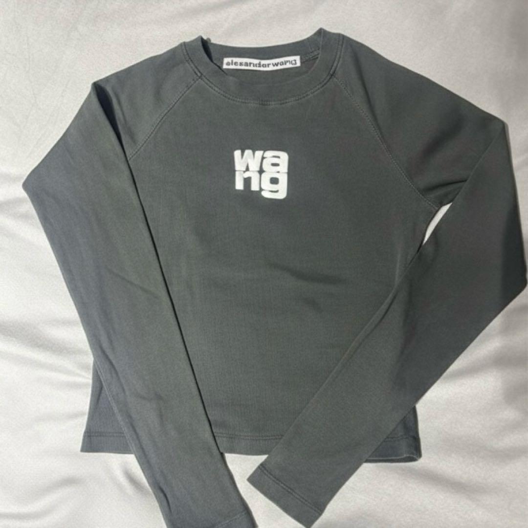 alexanderwang リブ　ロンT