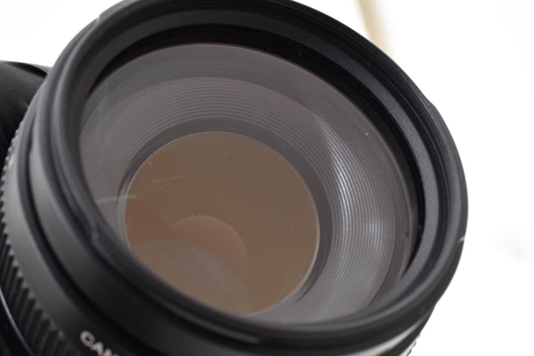 Canon EOS 7D MarkⅡ / Canon EF75-300mm