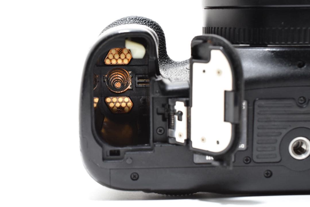 Canon EOS 7D MarkⅡ / Canon EF75-300mm