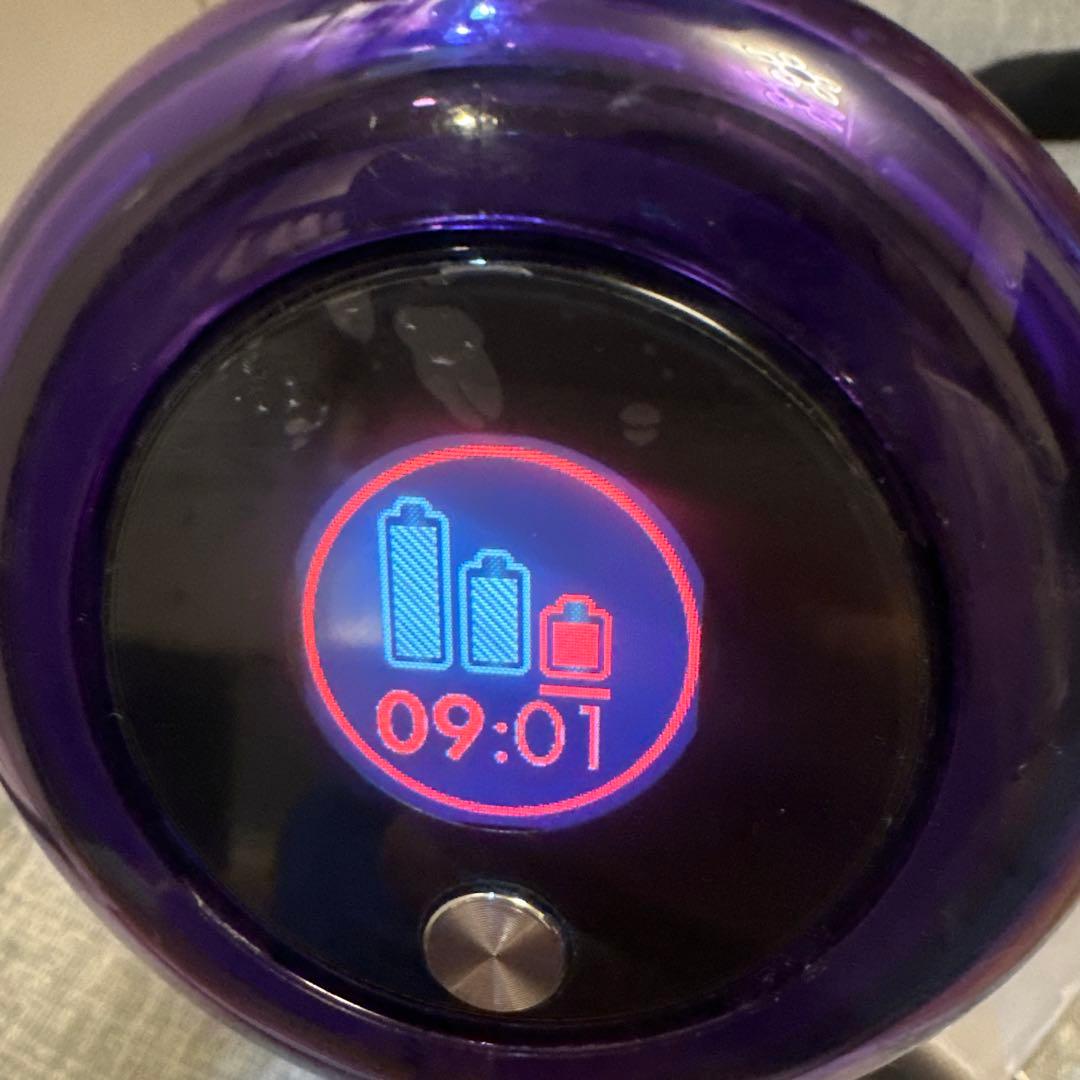 ダイソン V11 SV14本体