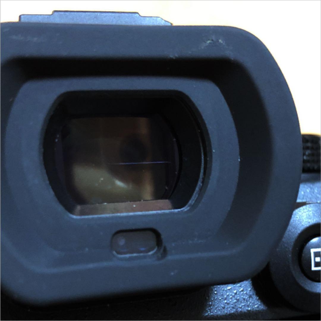 ★Panasonic LUMIX DC-S5