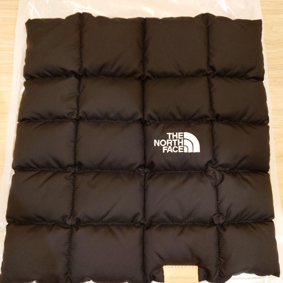 18日取消　THE NORTH FACE エンダースキーマ　ネックワッチ