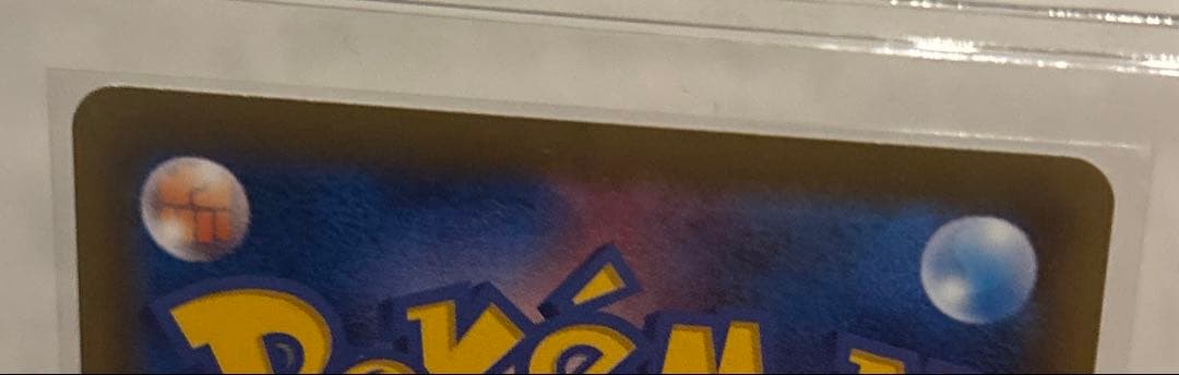 2枚 ピジョットEX＆MピジョットEX SR 20th Anniversary