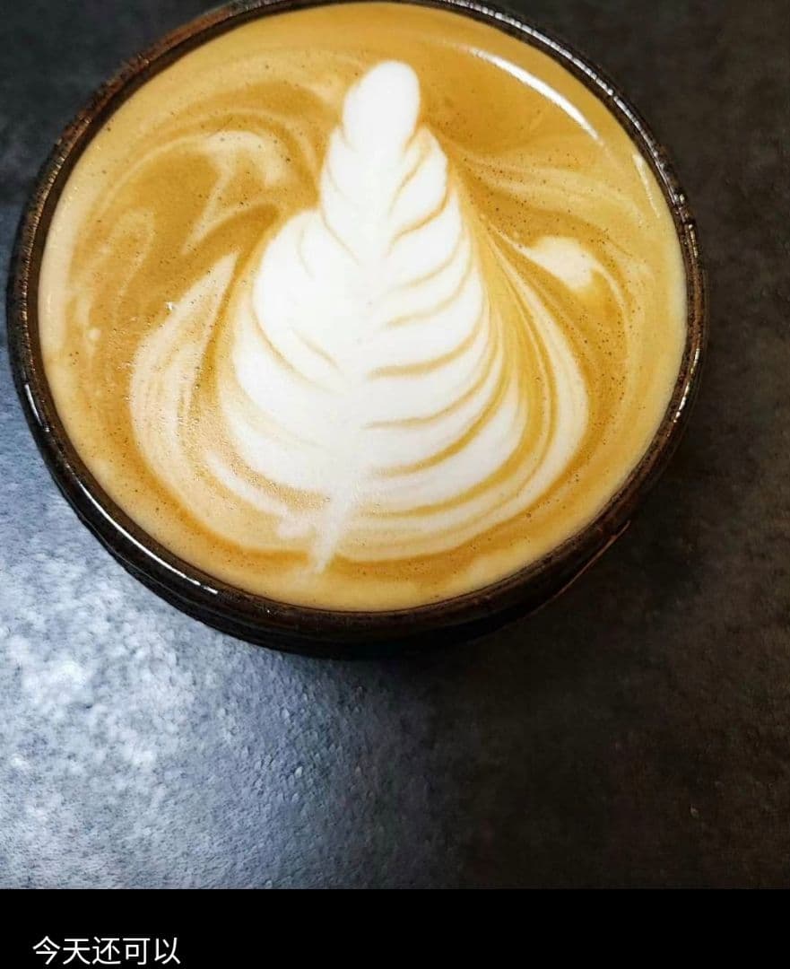 にがうりデロンギ エスプレッソマシン フルセットステンレス製