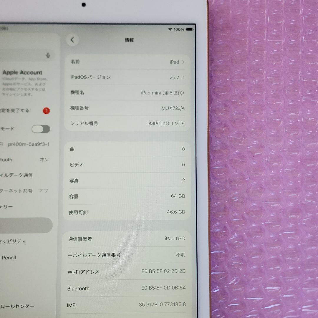良品　iPad mini5　バッテリー大変良好　Wi-Fi+Cellular
