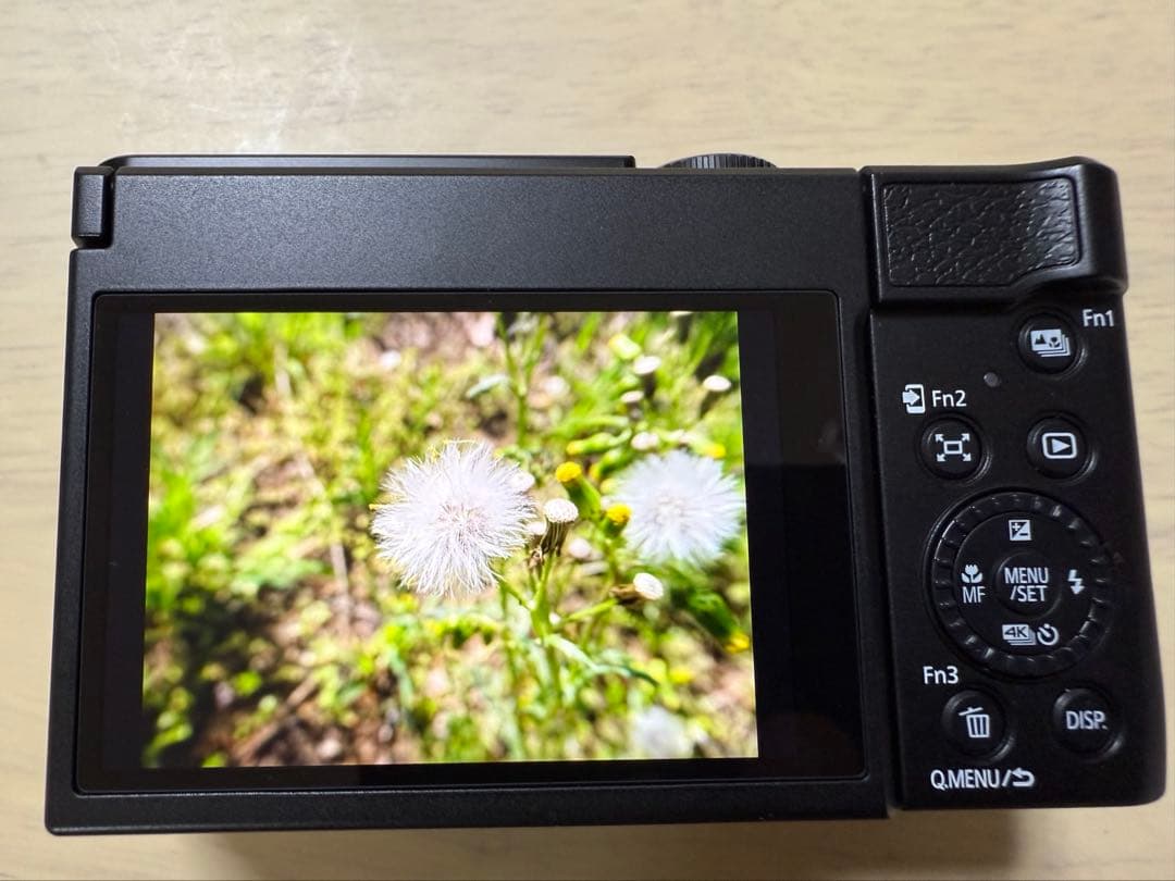 D　 Panasonic Lumix DC-TZ99