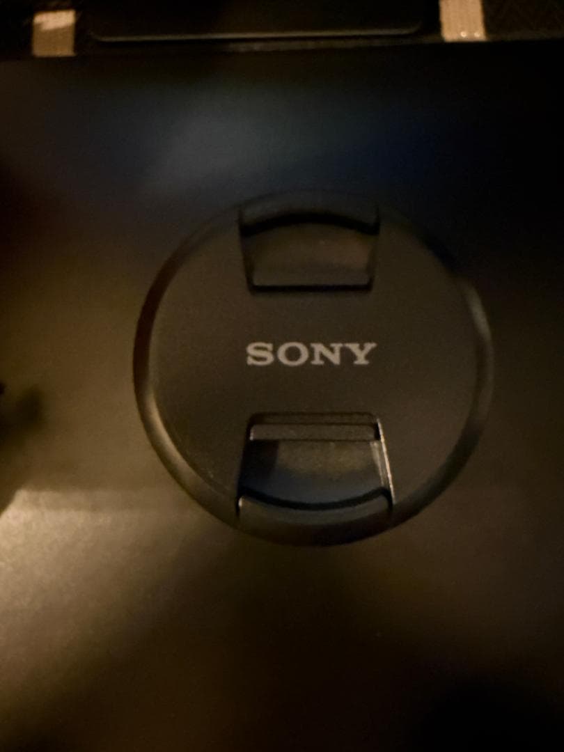 レンズ(単焦点) ZEISS Distagon T* FE35mm F1.4 ZA