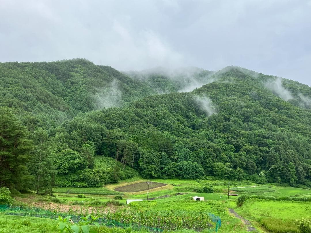 【令7】百花蜜 1000g 2本 長野県産 国産蜂蜜 生はちみつ 西洋蜜蜂z