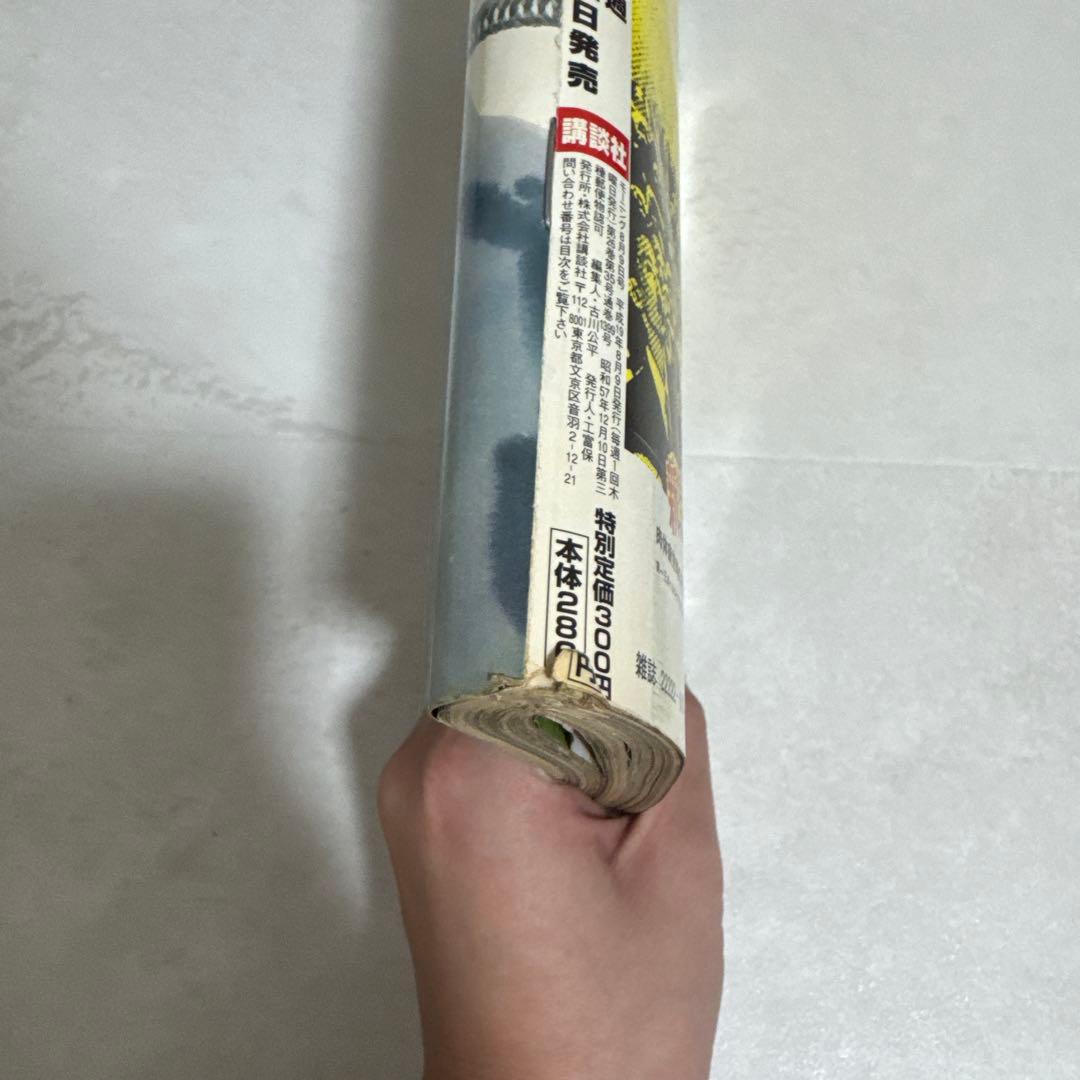 バガボンド 2007年No.34 創刊25周年特集