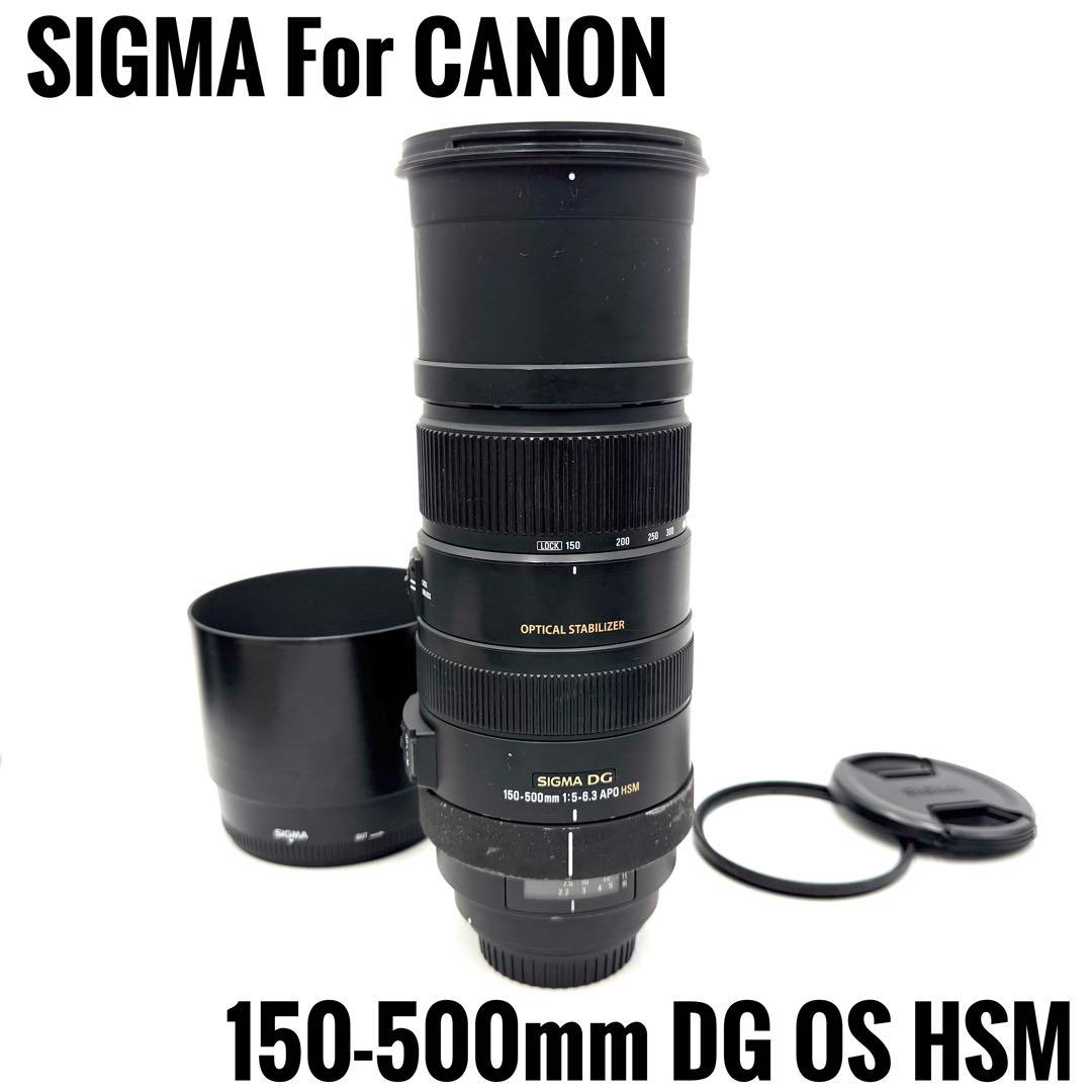 ❁大迫力❁SIGMA DG 150-500mm APO OS HSM CANON