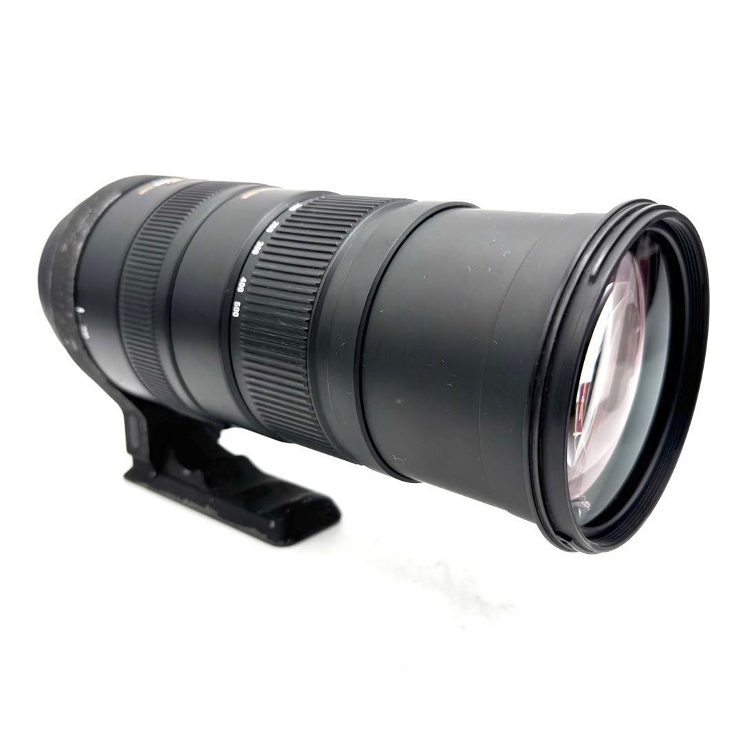 ❁大迫力❁SIGMA DG 150-500mm APO OS HSM CANON