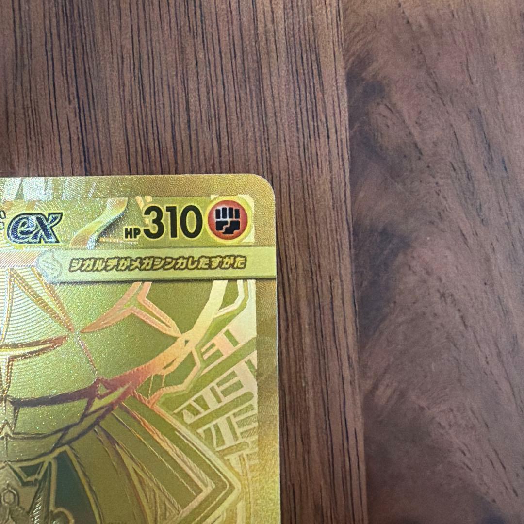 ♪*♪様 メガジガルデex