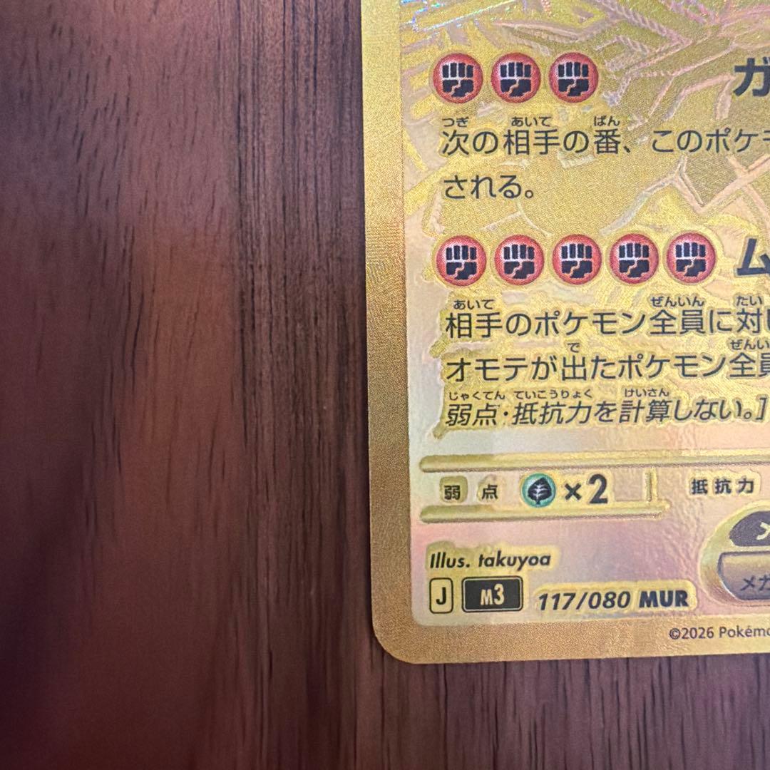 ♪*♪様 メガジガルデex