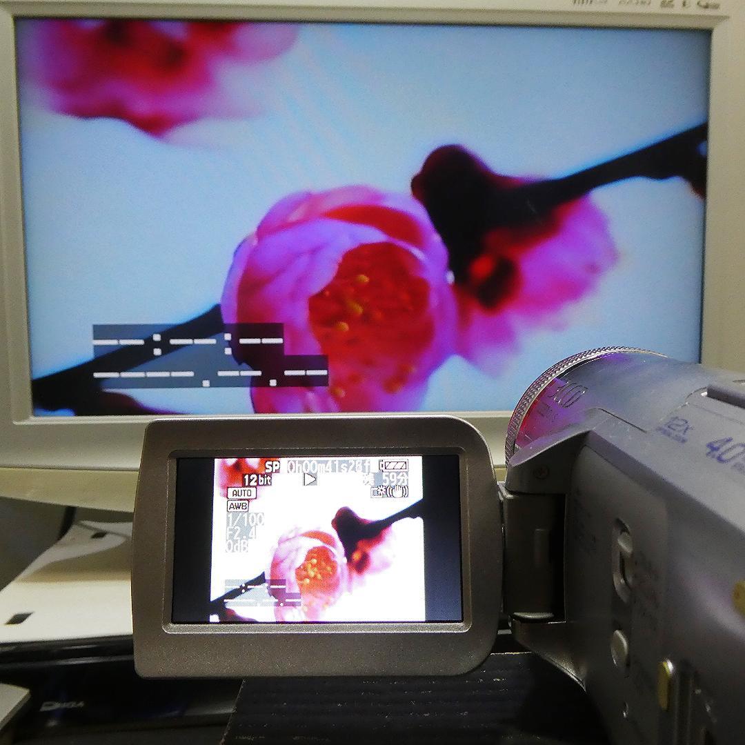 動作良好 パナソニック NV-GS500 MiniDVビデオDVDダビングに最適