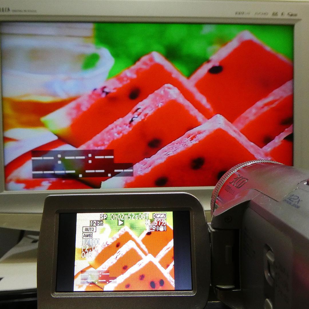 動作良好 パナソニック NV-GS500 MiniDVビデオDVDダビングに最適