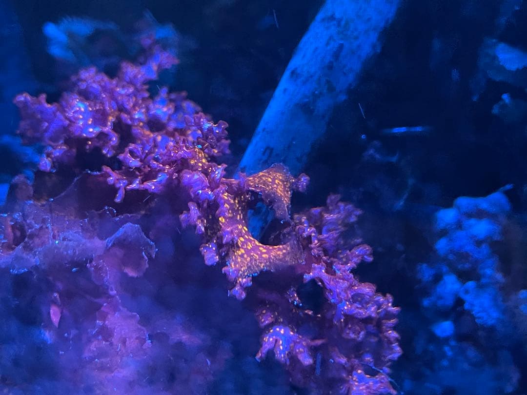 【匿名配送】　海藻　いろいろ　セット　宅急便