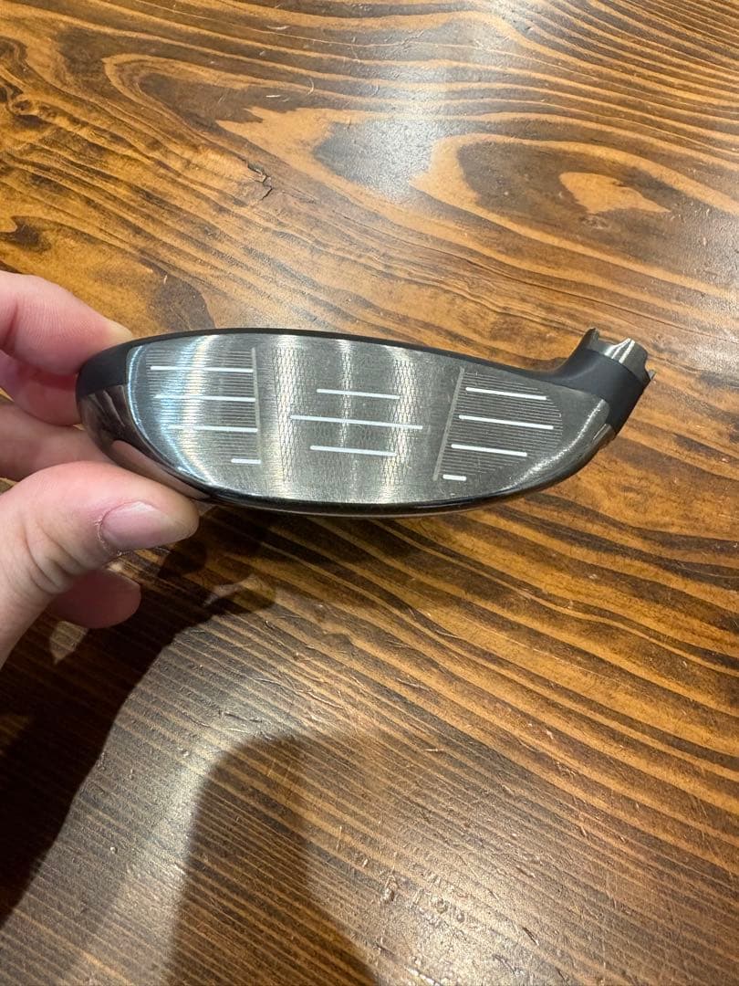 パラダイム 3W ヘッドのみ