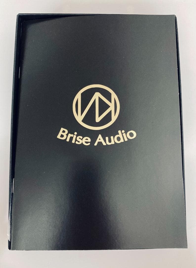 イヤホン Brise Audio BSEP for IE900
