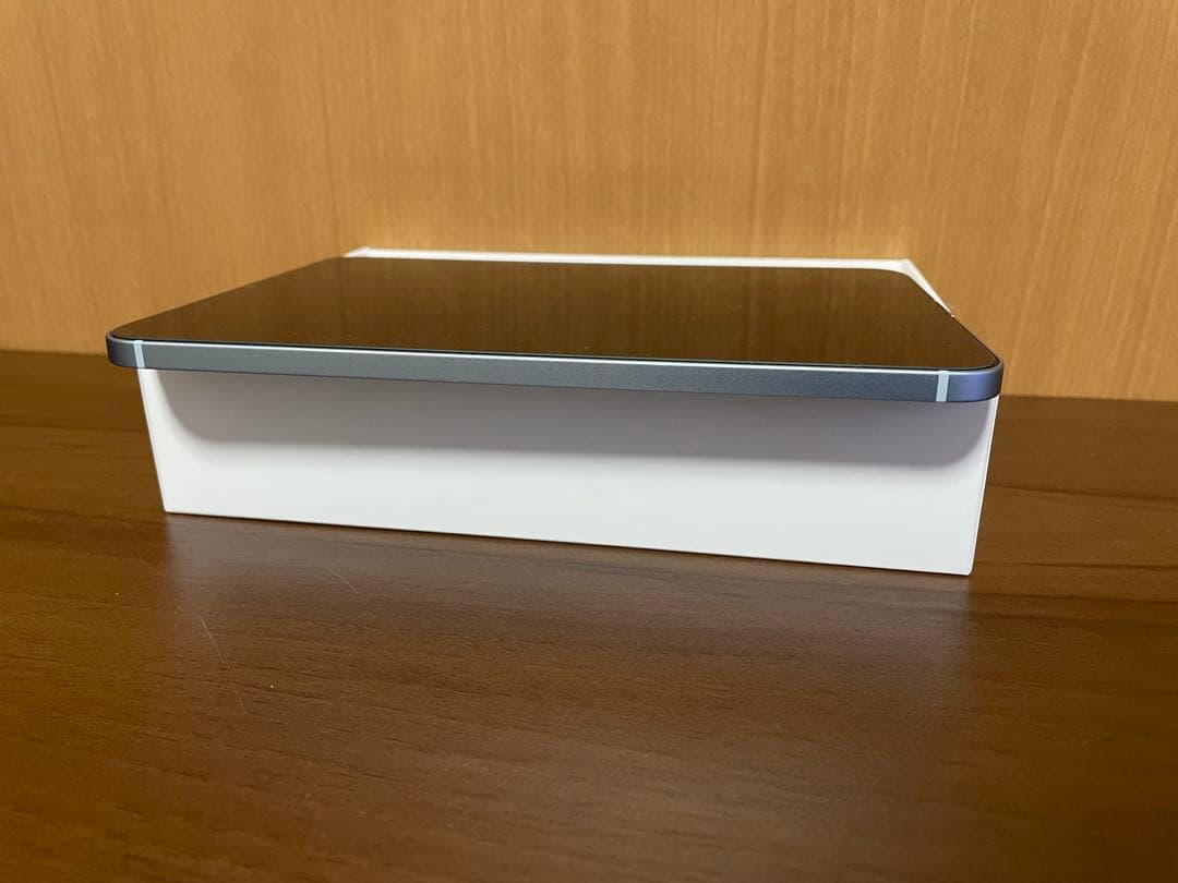 極美品iPad mini (第7世代) 256 Wi-Fi + Cellular