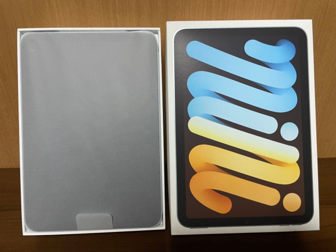 極美品iPad mini (第7世代) 256 Wi-Fi + Cellular