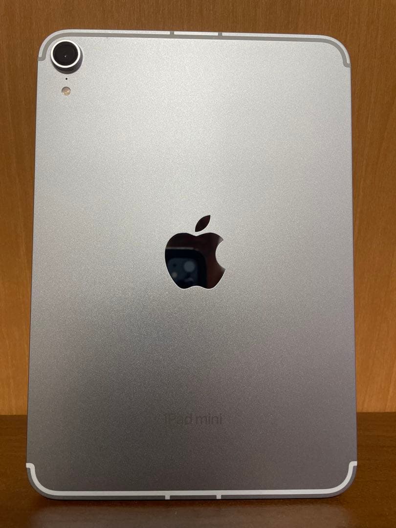 極美品iPad mini (第7世代) 256 Wi-Fi + Cellular