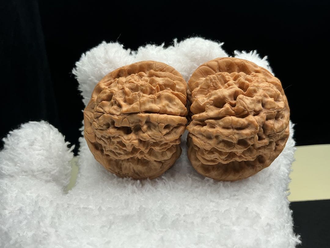 文玩堂：「龍鼎獅子頭 卒業級」51mm 最終価格