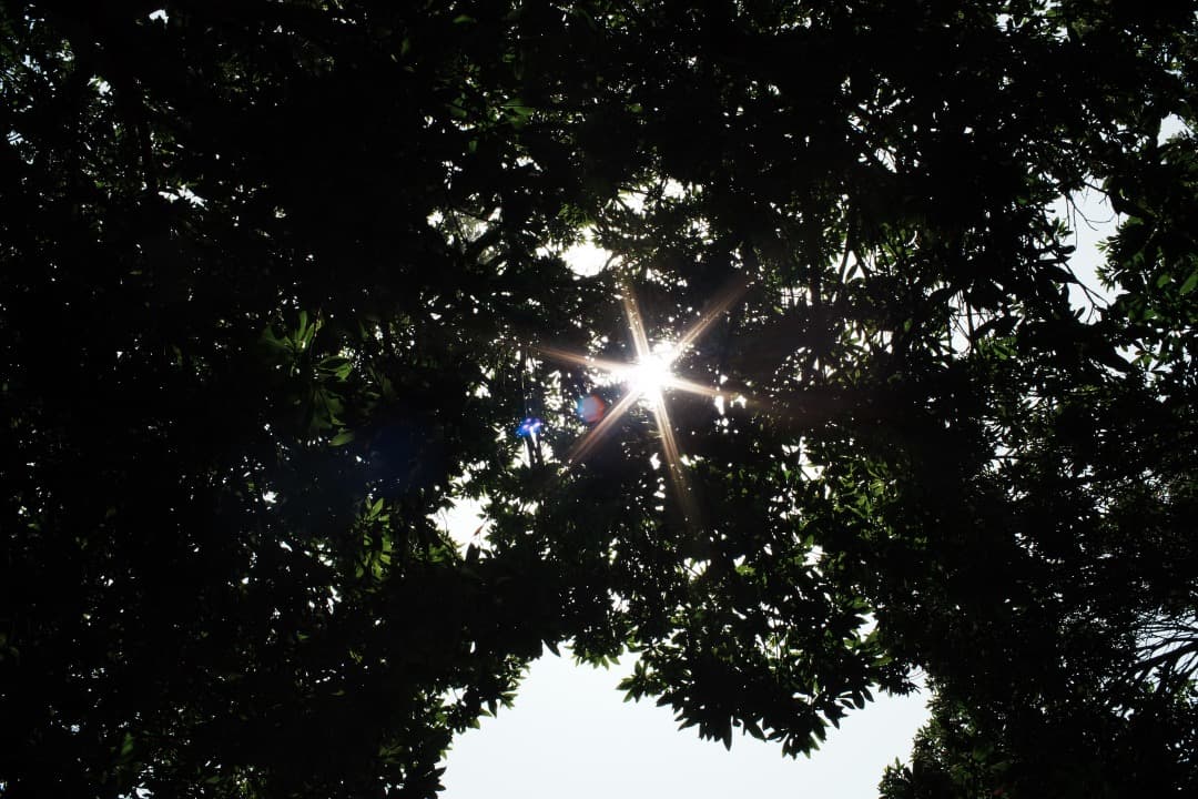 【希少 極美品】動作◎ ミノルタ New MD 35mm F1.8 198