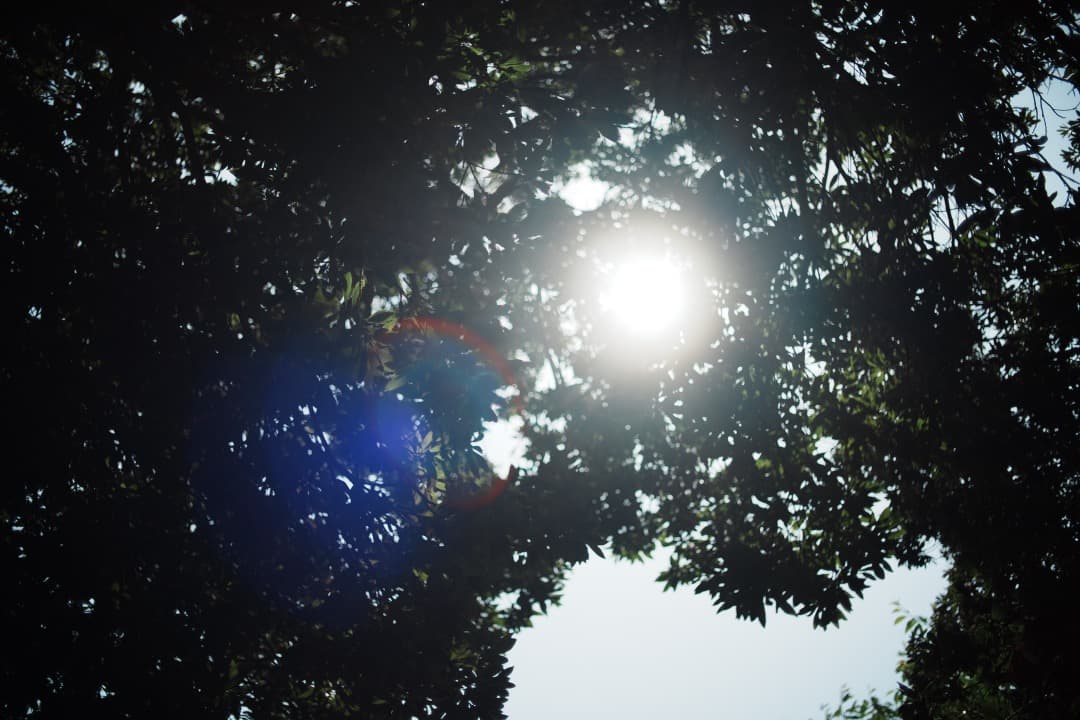 【希少 極美品】動作◎ ミノルタ New MD 35mm F1.8 198