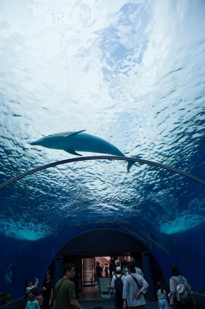 ライカで風景なら超広角！Leica Super-Angulon-R 21mm