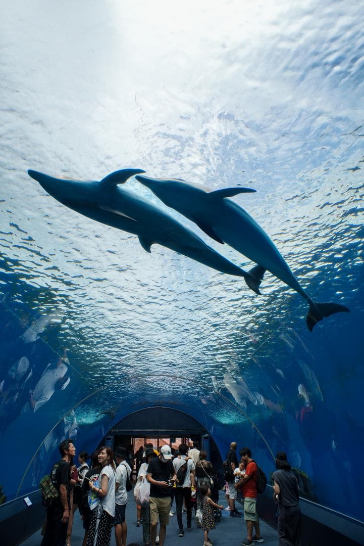 ライカで風景なら超広角！Leica Super-Angulon-R 21mm