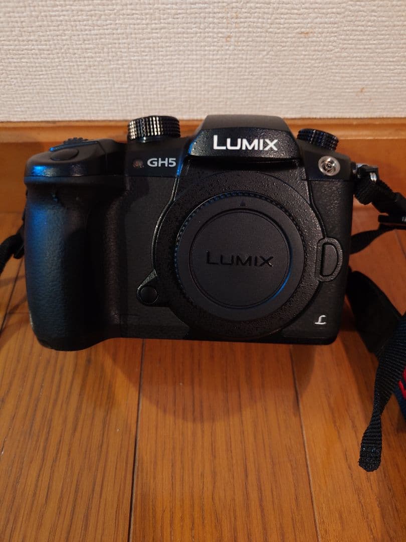 LUMIX GH5 ミラーレス一眼 本体 バッテリー3個付き