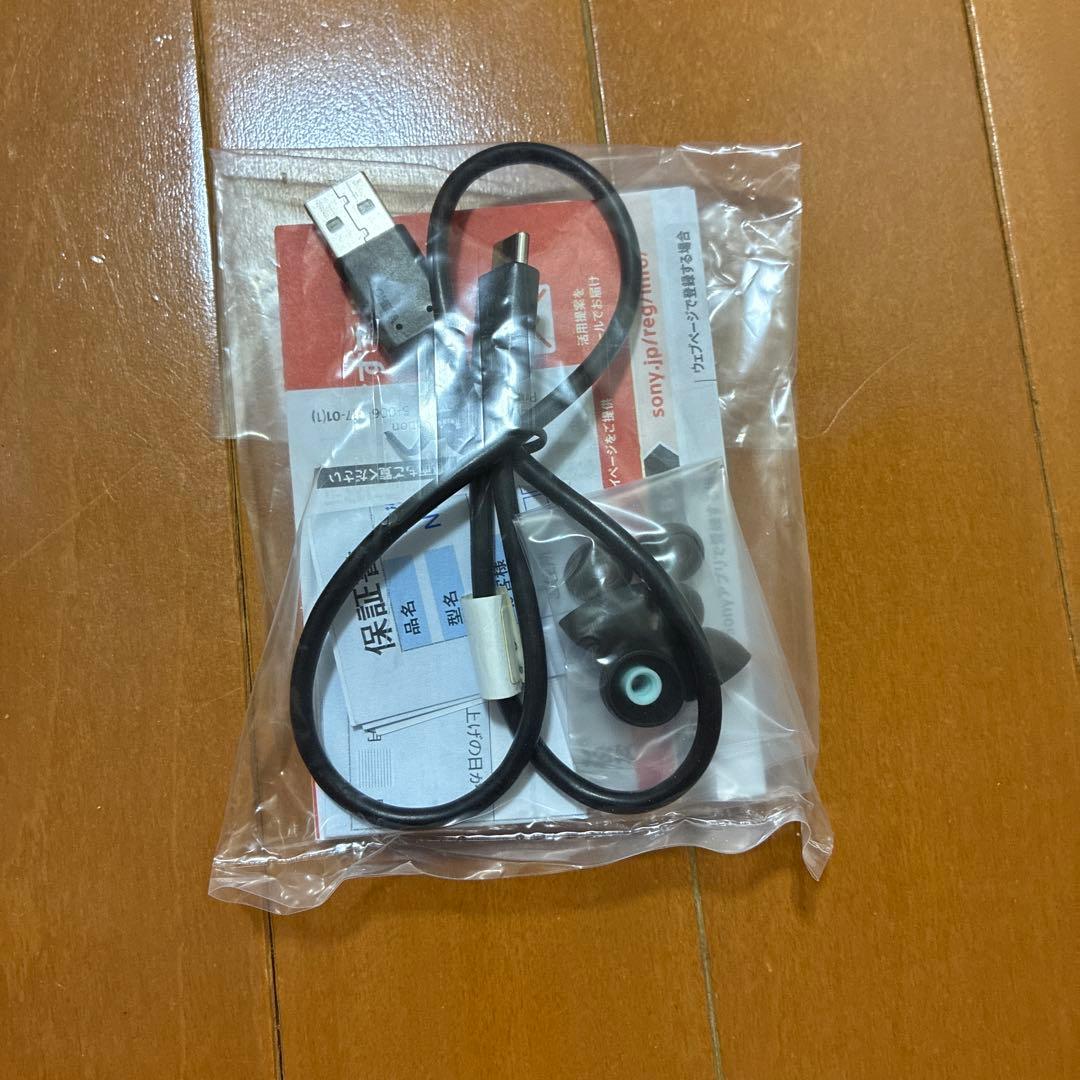 SONY(ソニー)ウォークマンNW-A105HN Aシリーズ 16GB