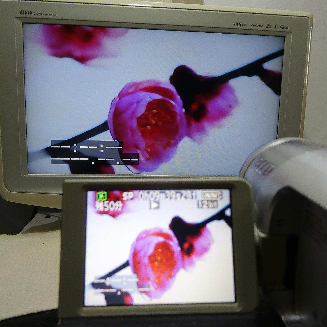 動作良好 パナソニック NV-GS150 MiniDVビデオカメラDVD化に最適