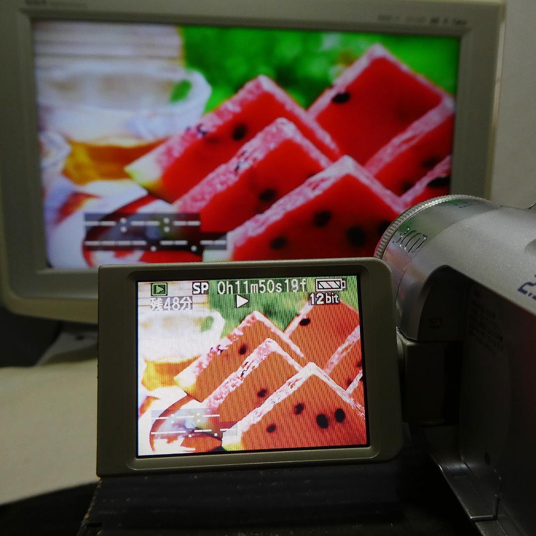 動作良好 パナソニック NV-GS150 MiniDVビデオカメラDVD化に最適