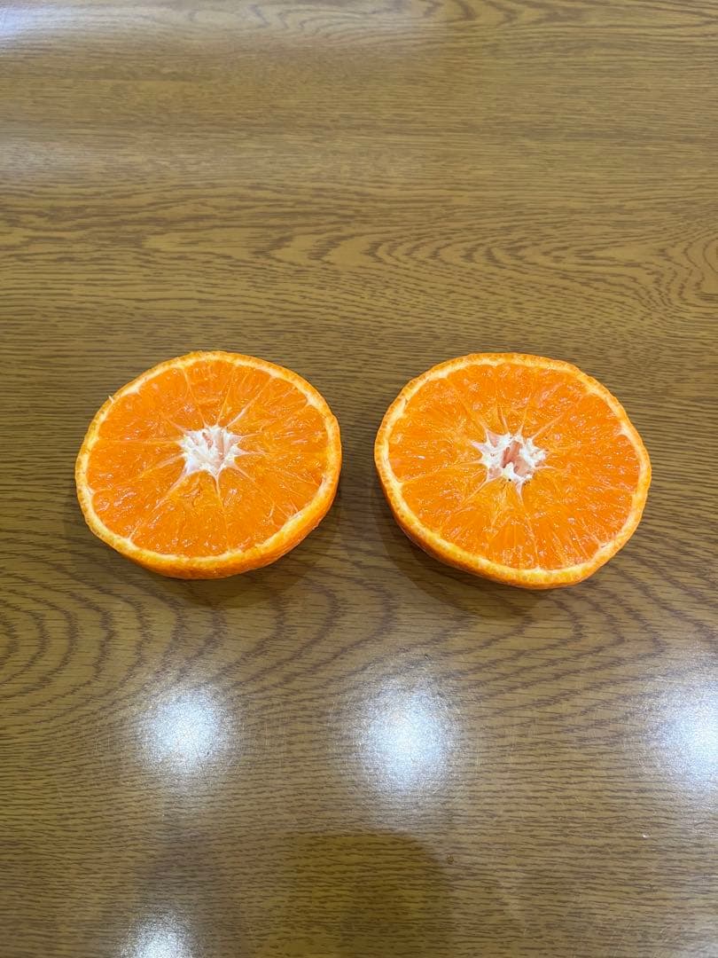 津之輝　2L秀品　10キロ入