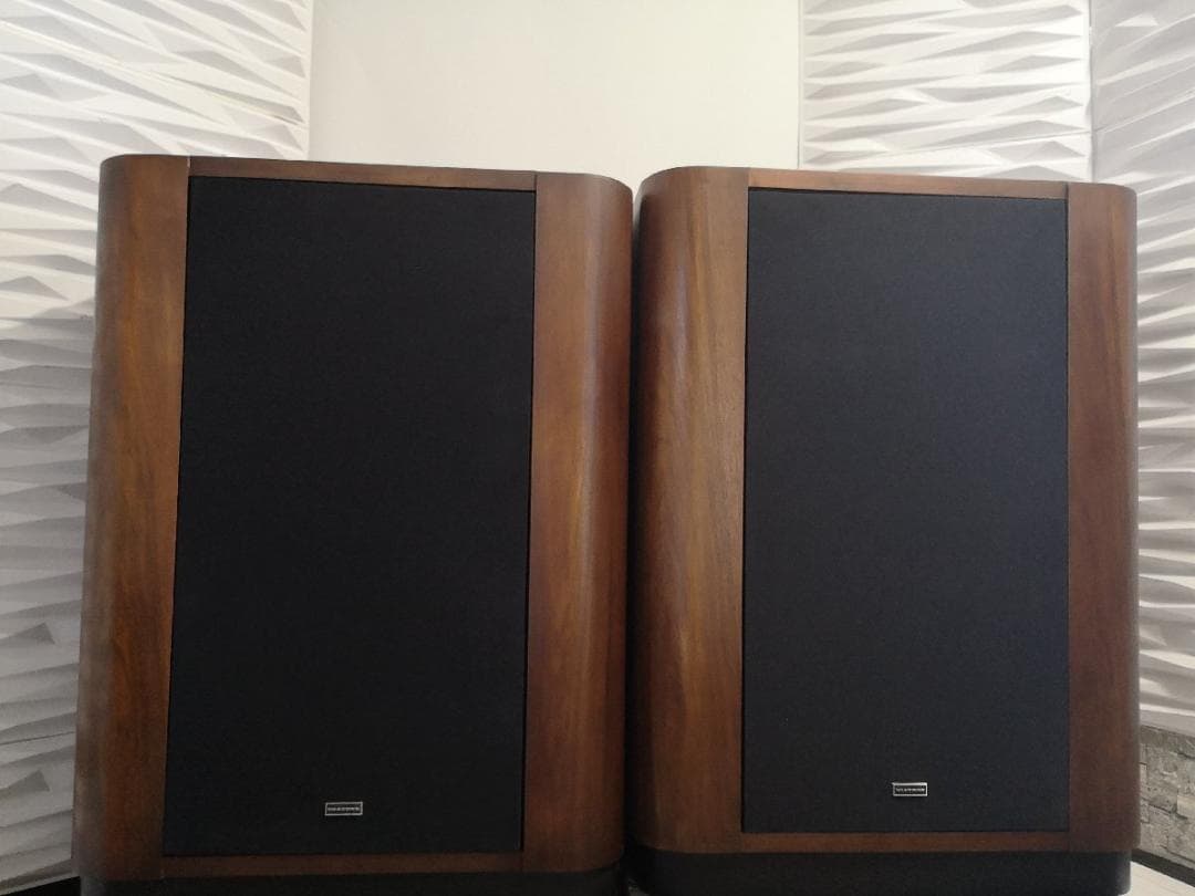 DIATONE 2S-305 カスタマイズ仕様 m0s9999