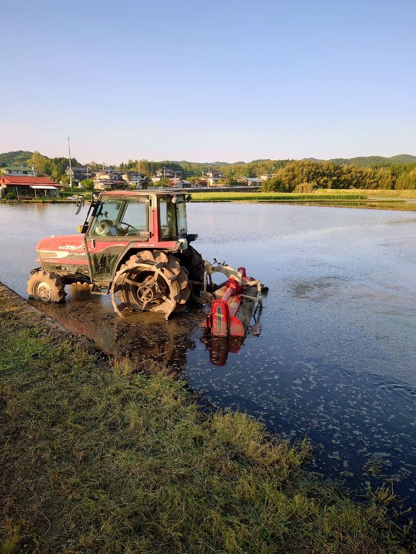 令和7年 新米！精米無料！玄米15キロ 栃木県大田原 黒羽産コシヒカリ 15㎏