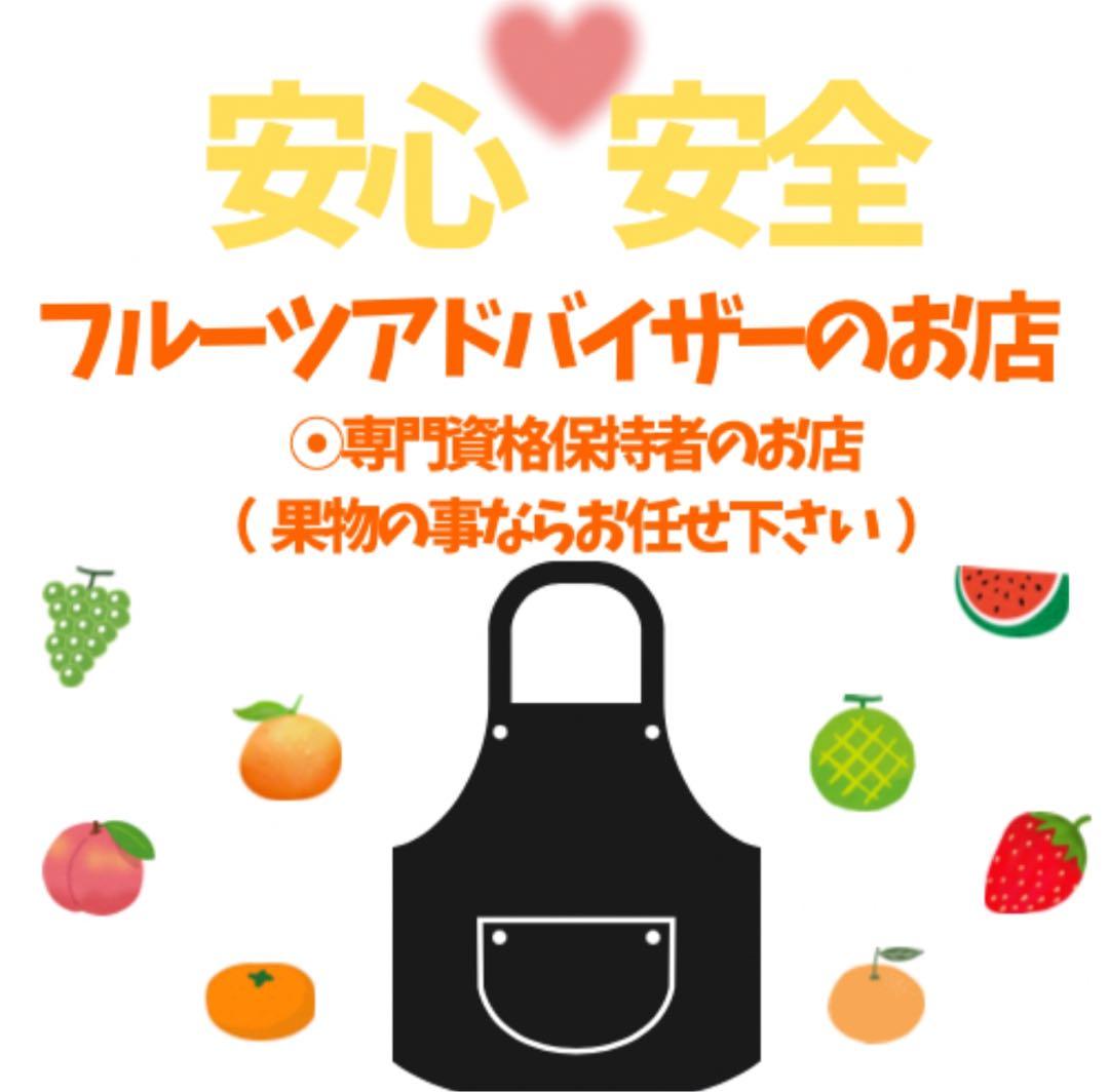 ⑯高知特産 露地栽培 土佐文旦 4L限定 文旦 約20kg 大玉 サイズ