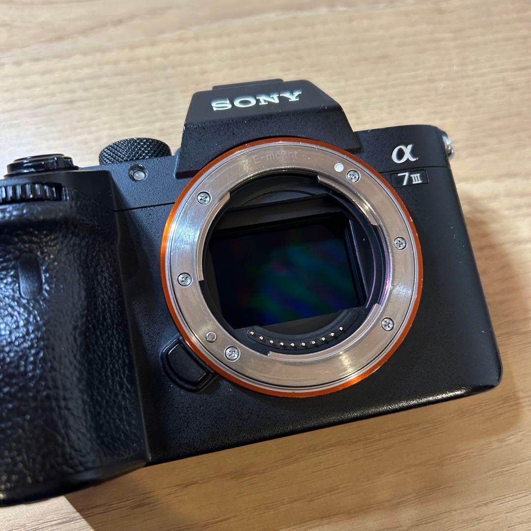SONY α7 III ボディ+28-70mmレンズセット 自撮りミラー付
