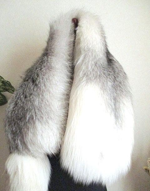 Sale❣️Saga Furs プラチナFox 一匹もの ストール 未使用