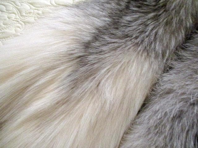 Sale❣️Saga Furs プラチナFox 一匹もの ストール 未使用