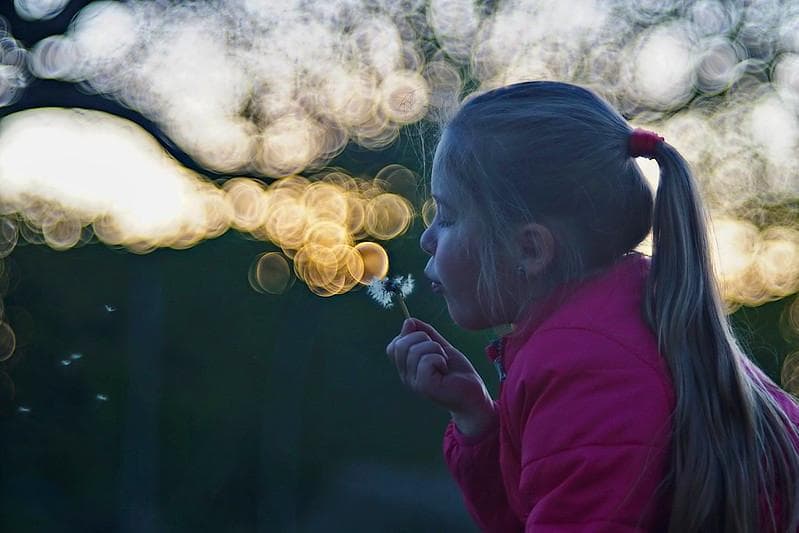 バブルボケレンズDiaplan (Pentacon) 150mm f2.8M42