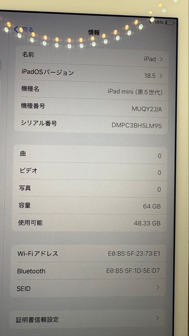 iPad mini ゴールド 64G本体 動作確認済み