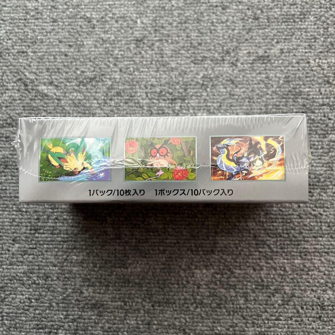ポケモンカードゲーム テラスタルフェスex 1box シュリンク付き