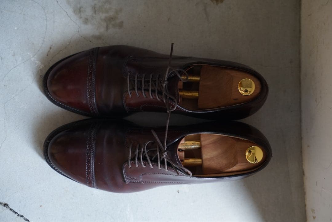 コウタ　モディファイドラスト　バーガンディ