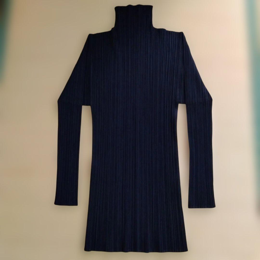 プリーツプリーズハイネックトップス