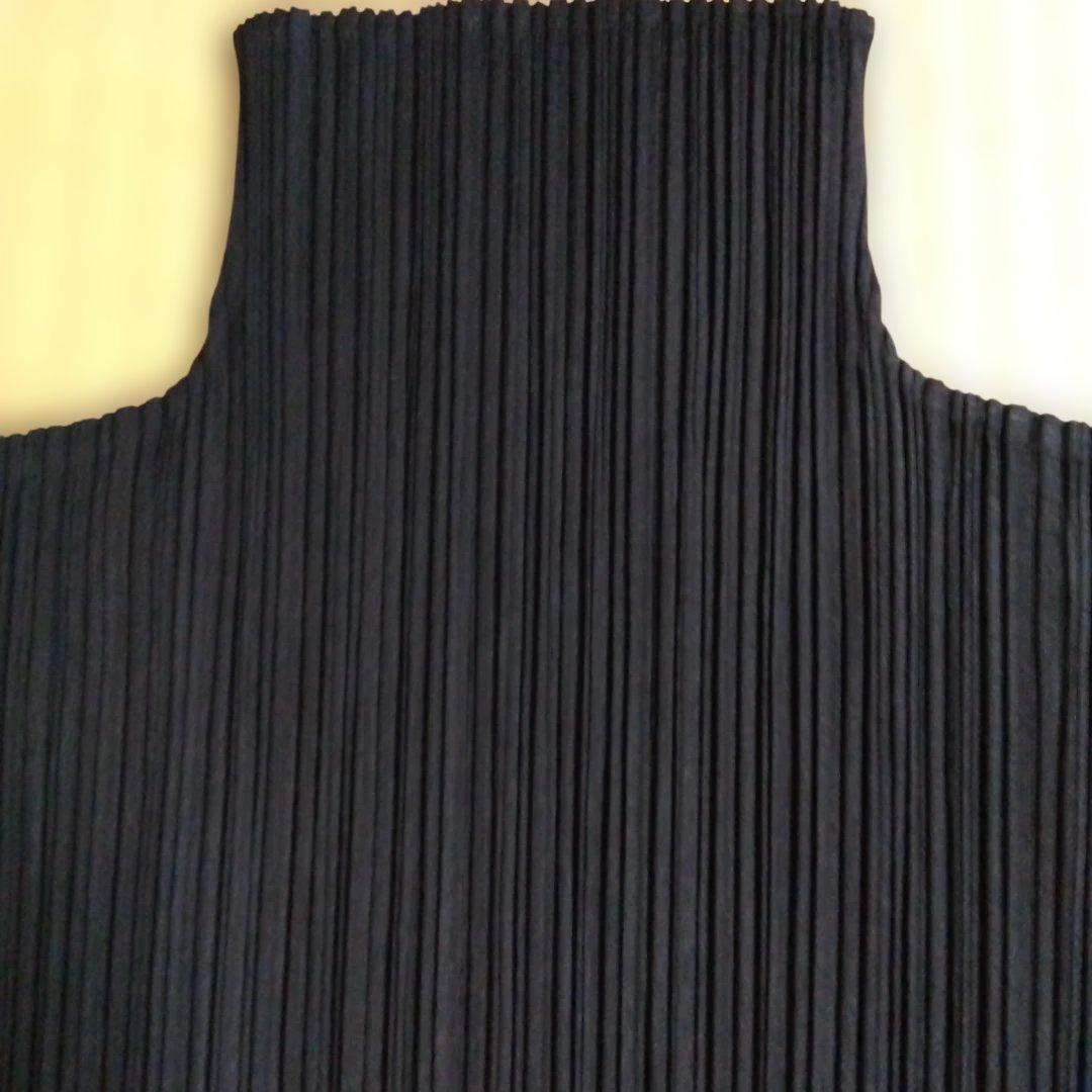 プリーツプリーズハイネックトップス