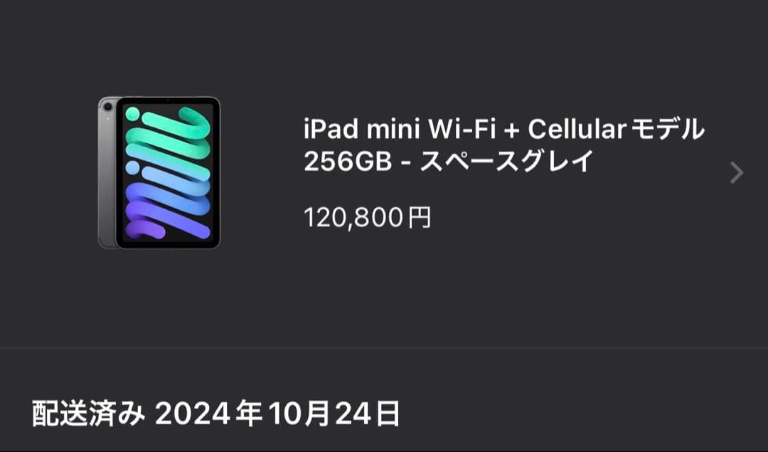 iPad mini第7世代(A17pro)256GB celluler カバー付